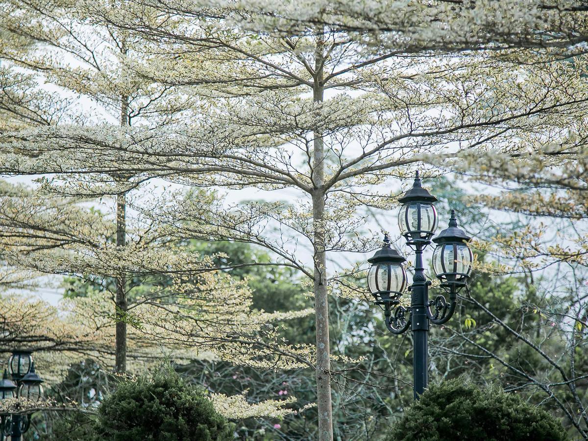 Flying Villa Nantou Exterior photo